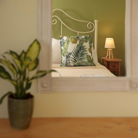 Green Loft Room In Naxos Chora Naxos City 外观 照片