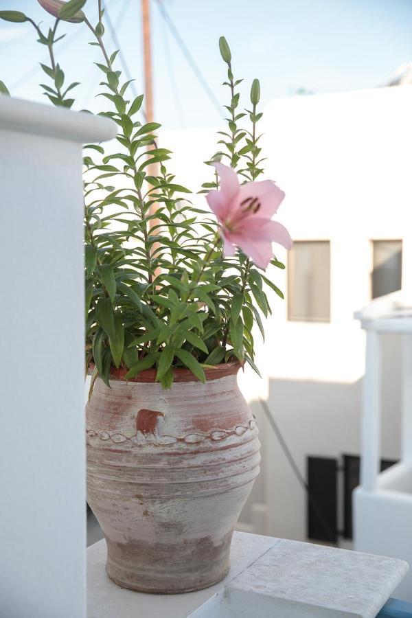Green Loft Room In Naxos Chora Naxos City 外观 照片